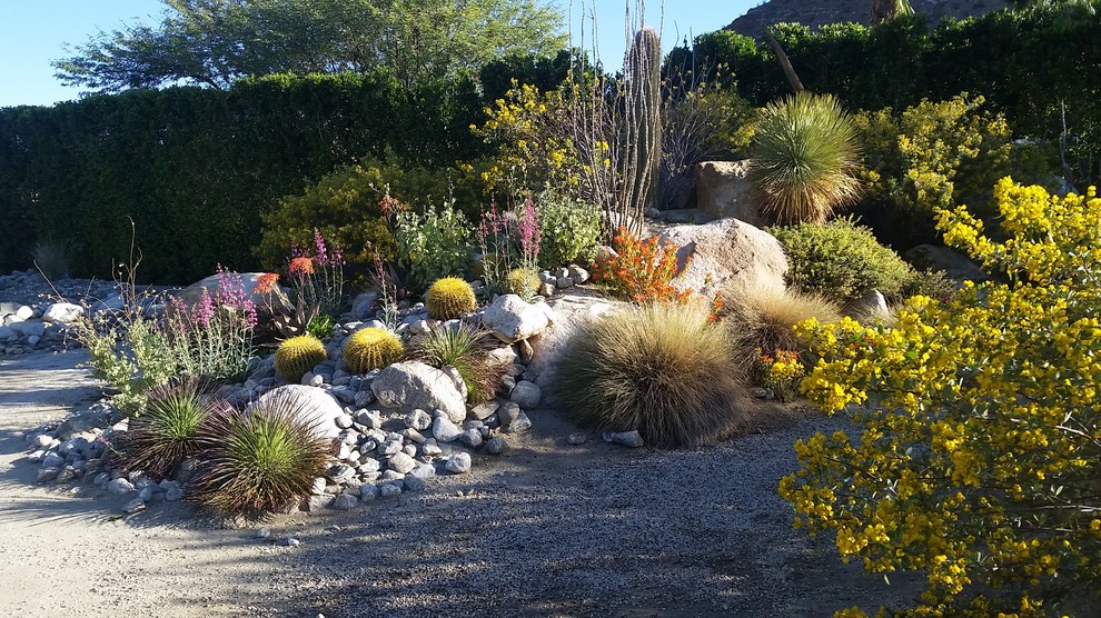 Imagen de jardín de secano de estilo americano grande en patio trasero con exposición total al sol y adoquines de piedra natural