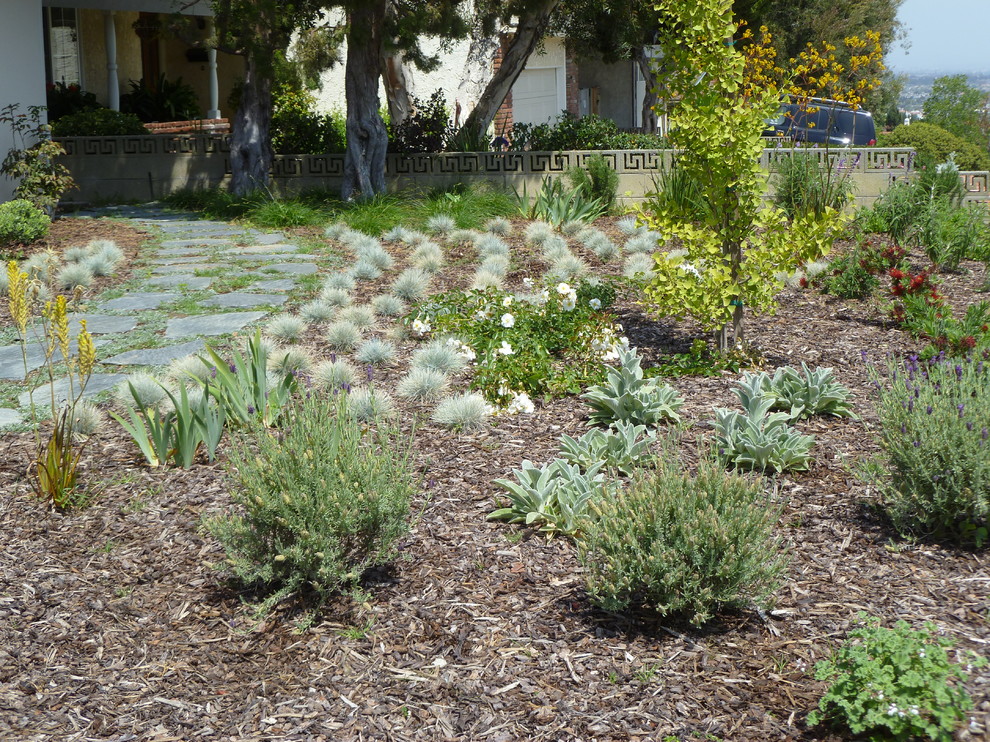 Design ideas for a transitional landscaping in Los Angeles.
