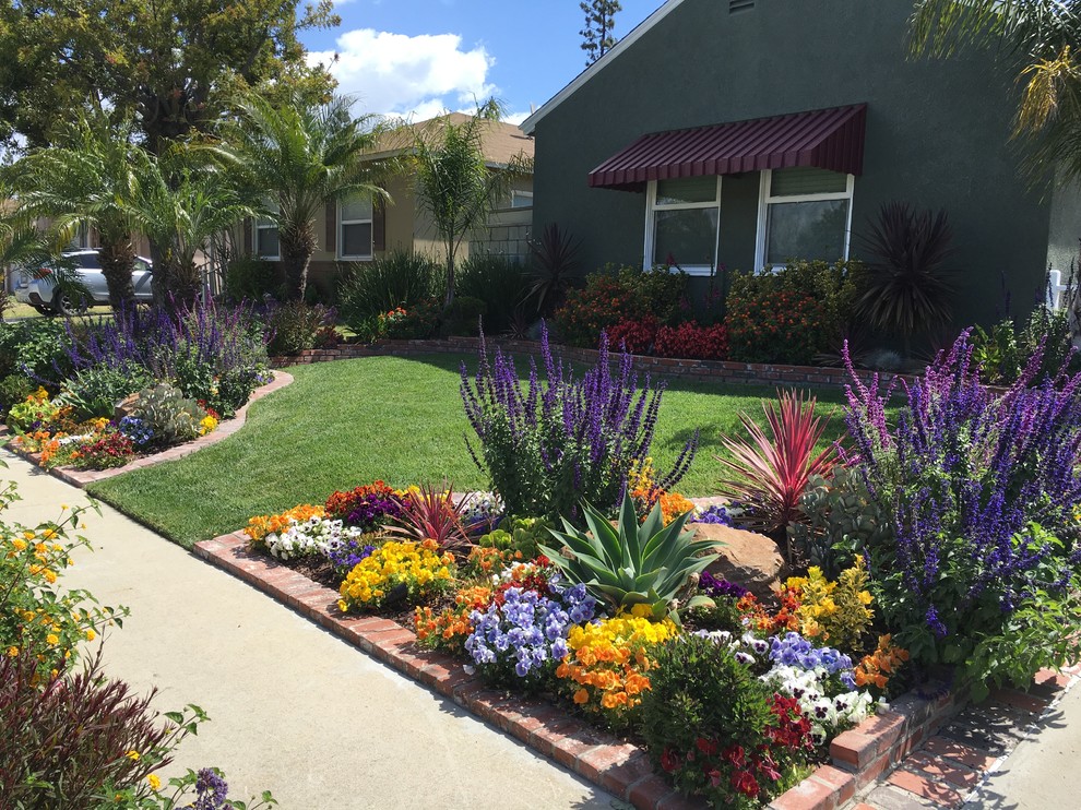 Modelo de acceso privado de estilo americano de tamaño medio en verano en patio delantero con muro de contención, exposición total al sol y adoquines de ladrillo