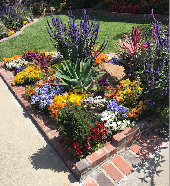 All 92+ Images photos of drought tolerant landscaping Sharp