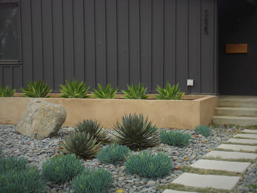 Immagine di un giardino xeriscape minimalista esposto a mezz'ombra davanti casa in primavera con un ingresso o sentiero e pavimentazioni in cemento