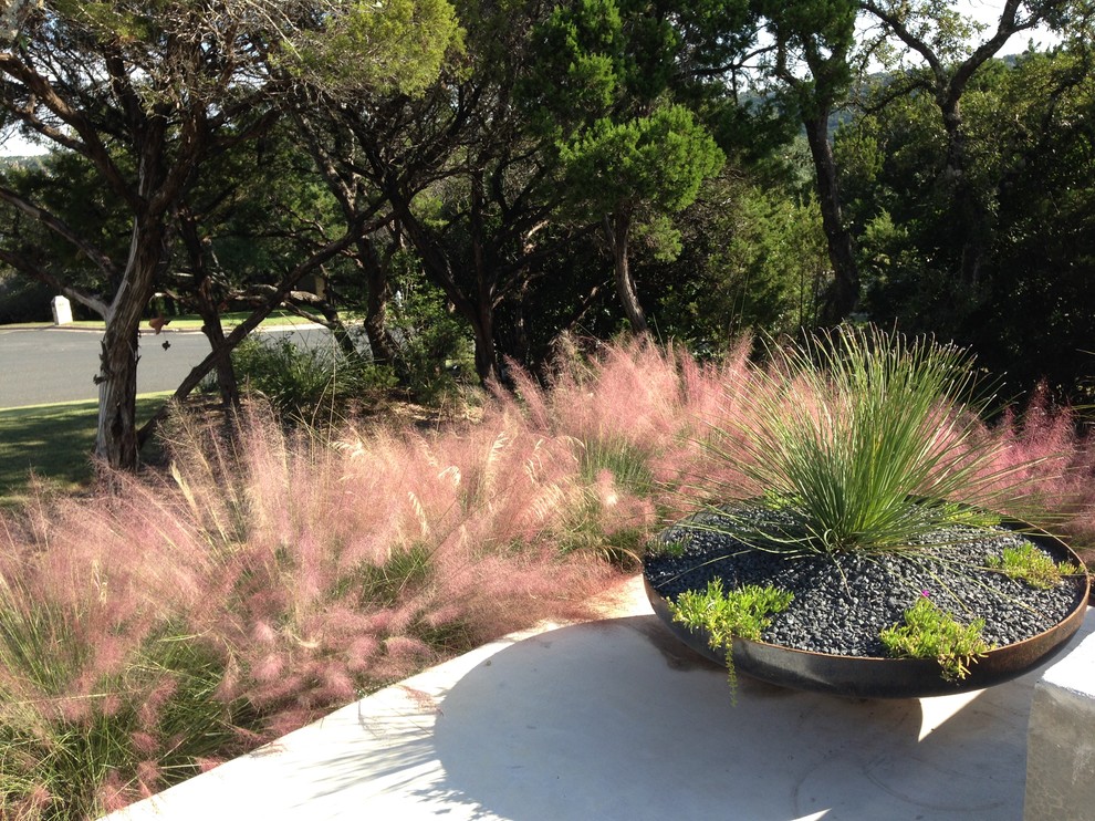 Long Canyon Austin Modern New Home and Courtyard Asian Landscape