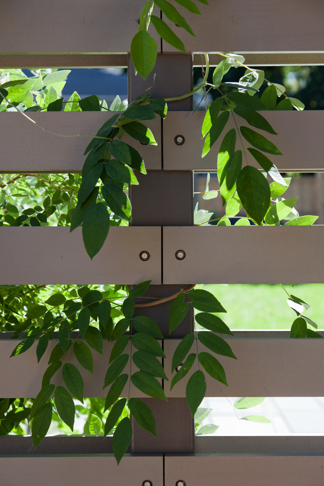 Idee per un giardino minimal