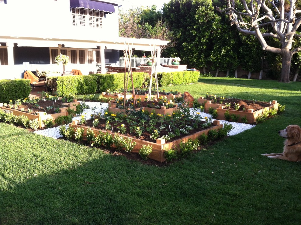 Lori Landscape Los Angeles by Hope Gardens Houzz