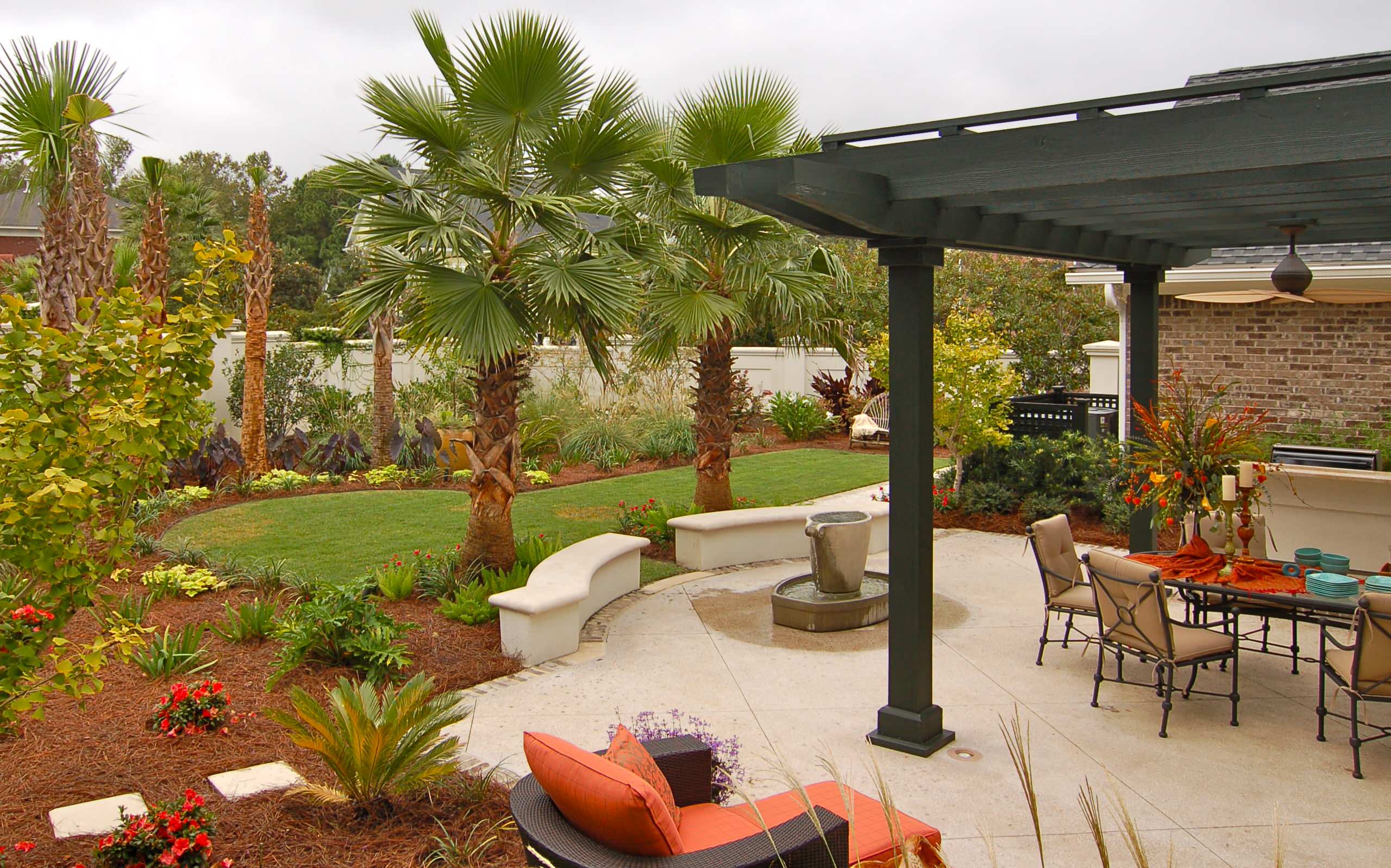 Backyard palm trees deals
