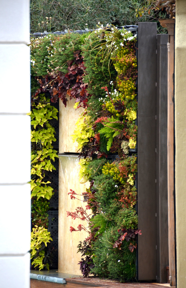 Imagen de jardín actual pequeño en patio trasero con jardín vertical, exposición total al sol y entablado