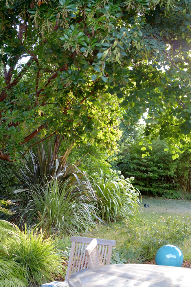 Los Altos Landscape Garden Design Green Patio Clásico Jardín