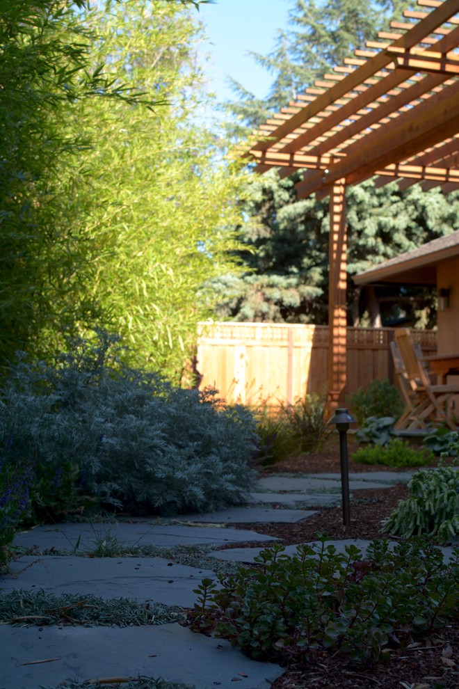 Los Altos Landscape Garden Design Green Patio Mediterranean