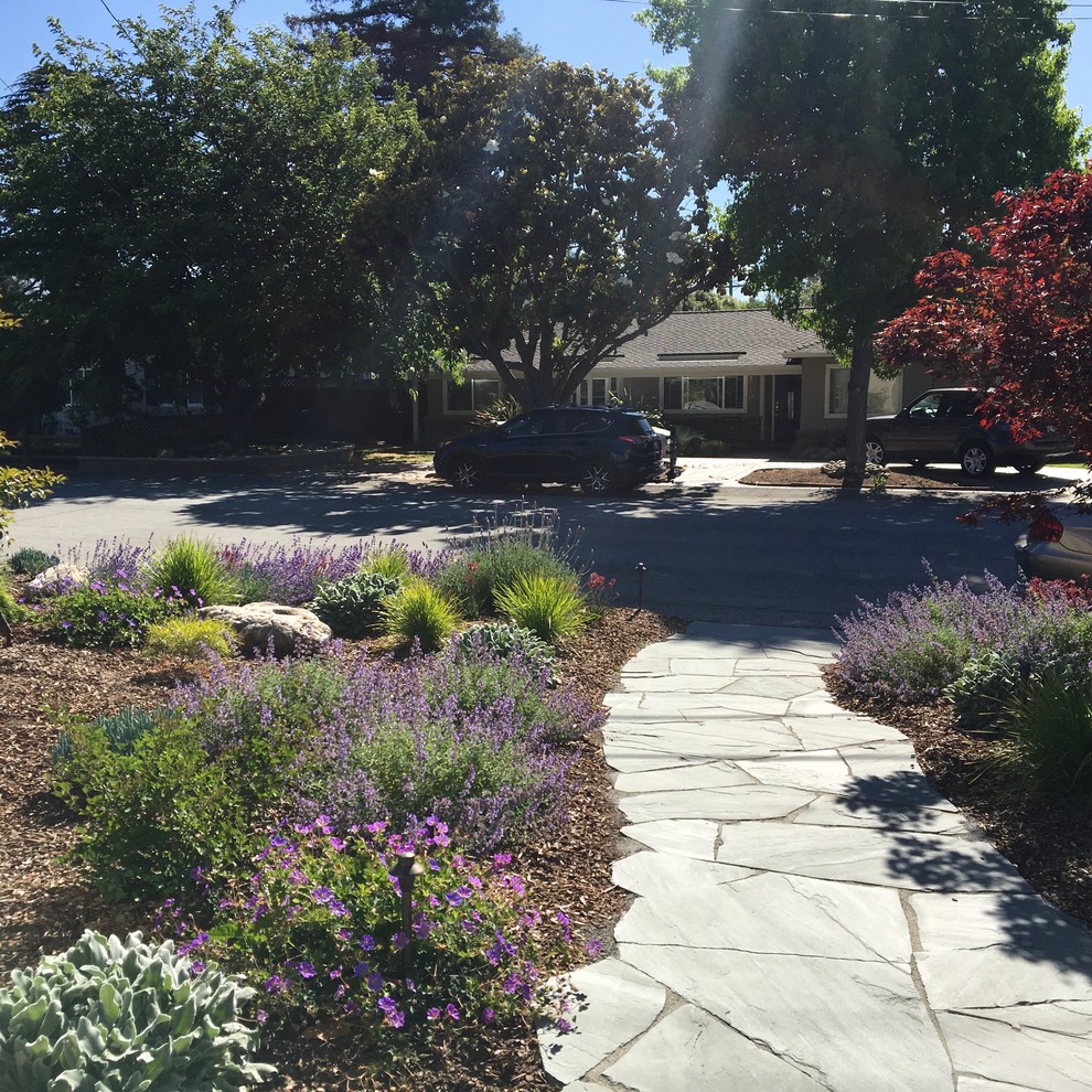 Design ideas for a mid-sized contemporary drought-tolerant front yard stone landscaping in San Francisco.