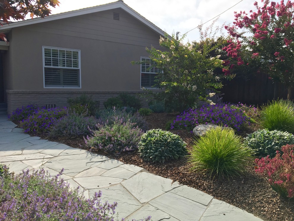 Foto di un giardino xeriscape chic di medie dimensioni e davanti casa con pavimentazioni in pietra naturale