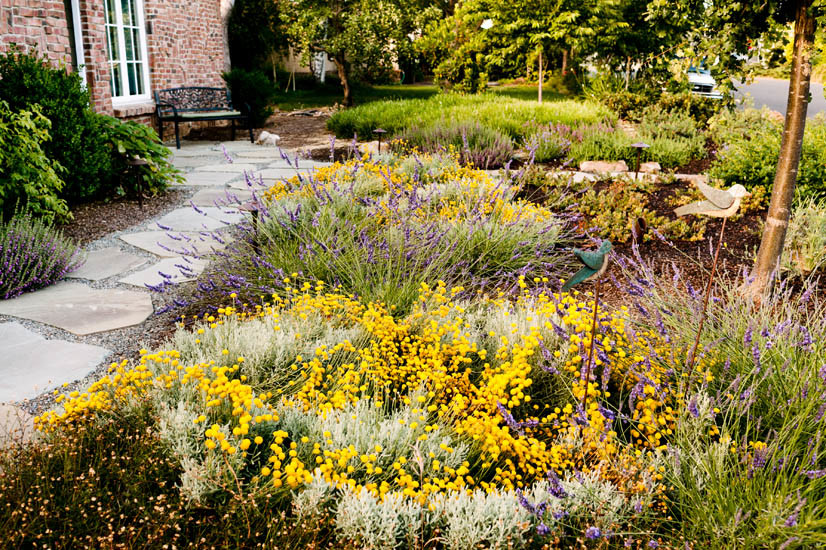 Immagine di un grande giardino formale mediterraneo esposto a mezz'ombra davanti casa in autunno con un ingresso o sentiero e pavimentazioni in pietra naturale