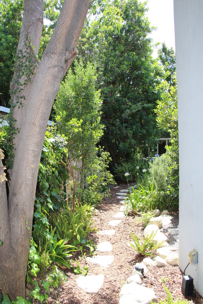 Inspiration for a contemporary backyard landscaping in Los Angeles.