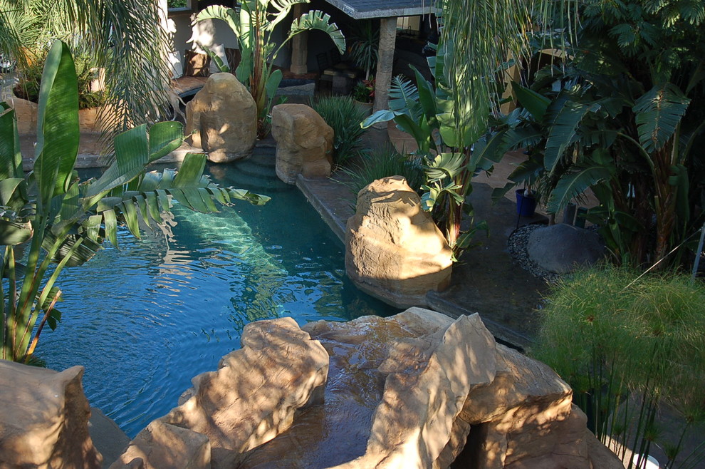 Photo of a tropical landscaping in Los Angeles.