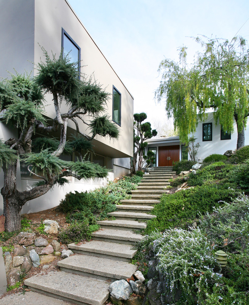 Diseño de jardín minimalista en ladera