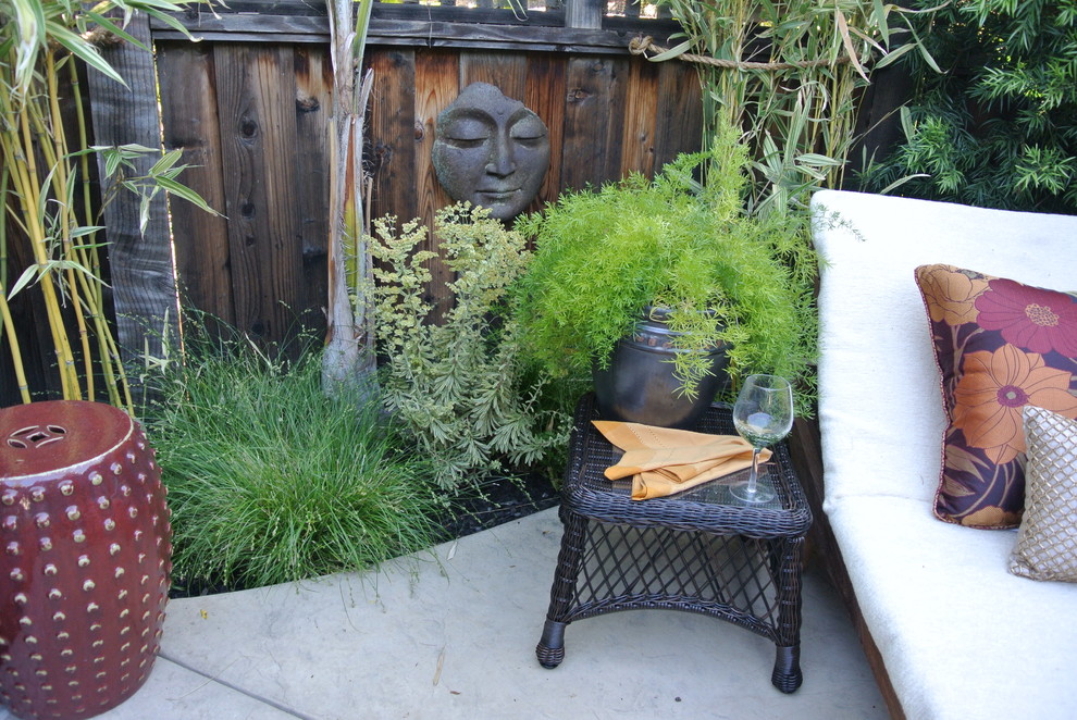 サンフランシスコにあるお手頃価格の小さなトロピカルスタイルのおしゃれな裏庭 (日陰、砂利舗装) の写真