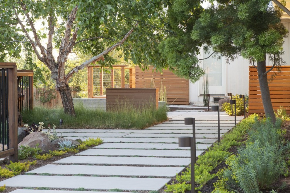Photo of a large modern partial sun side yard concrete paver garden path in San Francisco.