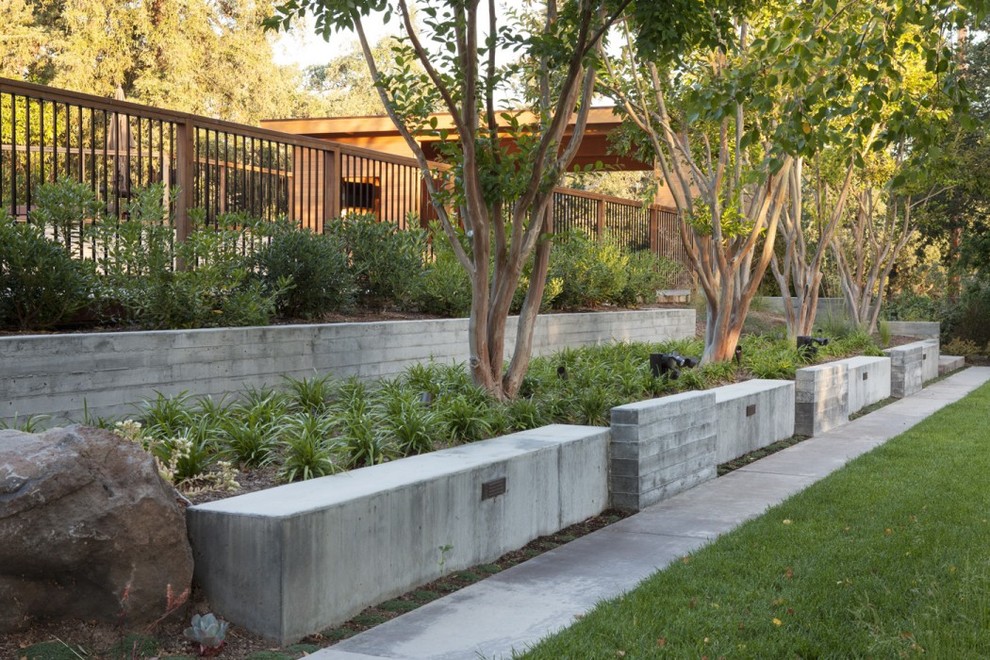 Ispirazione per un grande giardino design esposto in pieno sole dietro casa con un ingresso o sentiero e pavimentazioni in cemento
