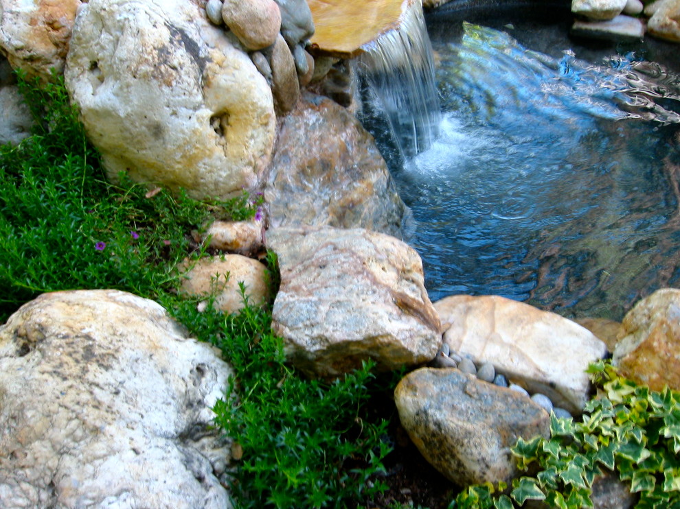 Cette photo montre un petit jardin arrière montagne avec un point d'eau, une exposition partiellement ombragée et des pavés en brique.