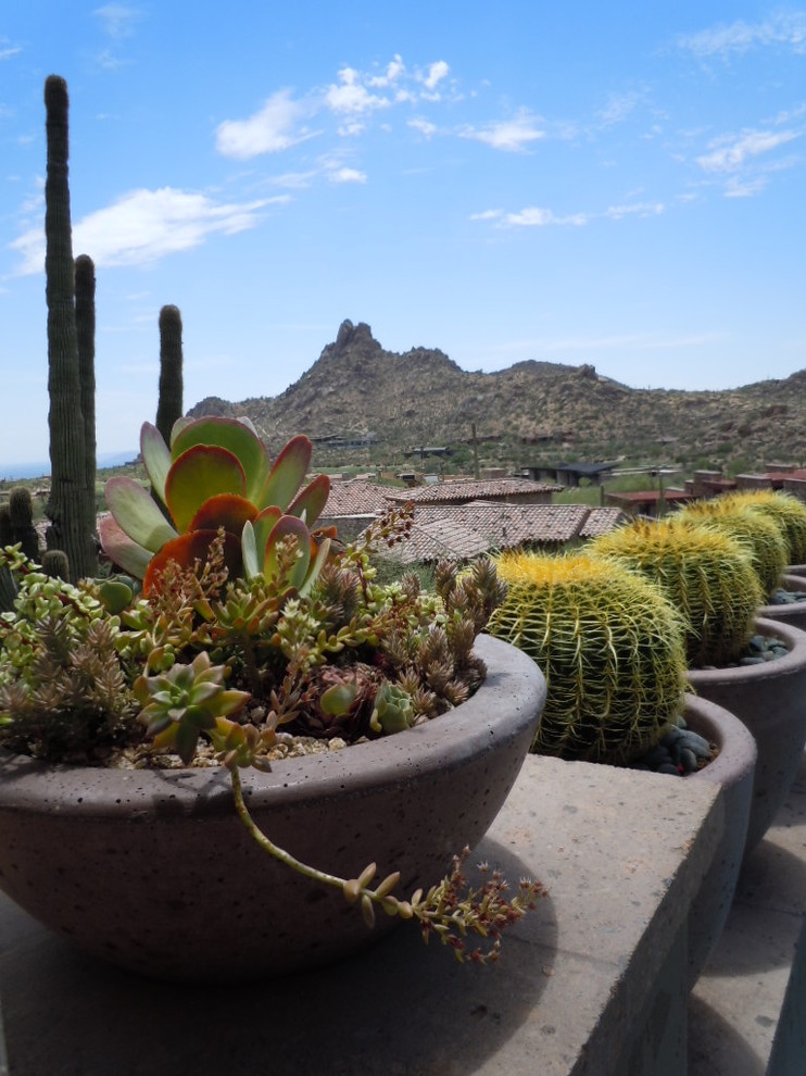 Ispirazione per un giardino mediterraneo