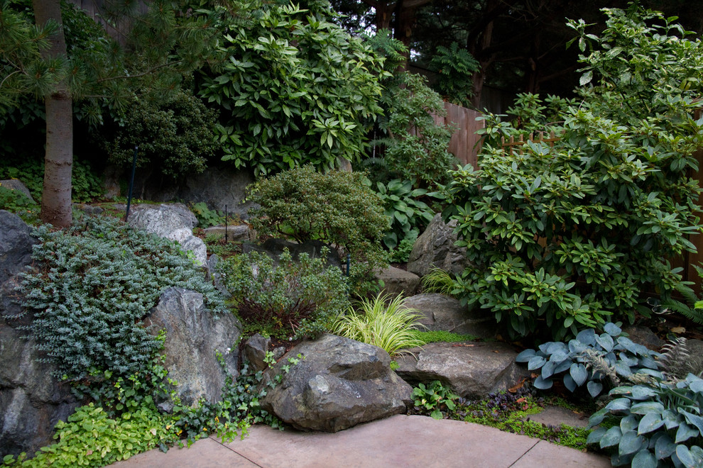 Foto de jardín actual pequeño en verano en ladera con jardín vertical, exposición parcial al sol y adoquines de piedra natural