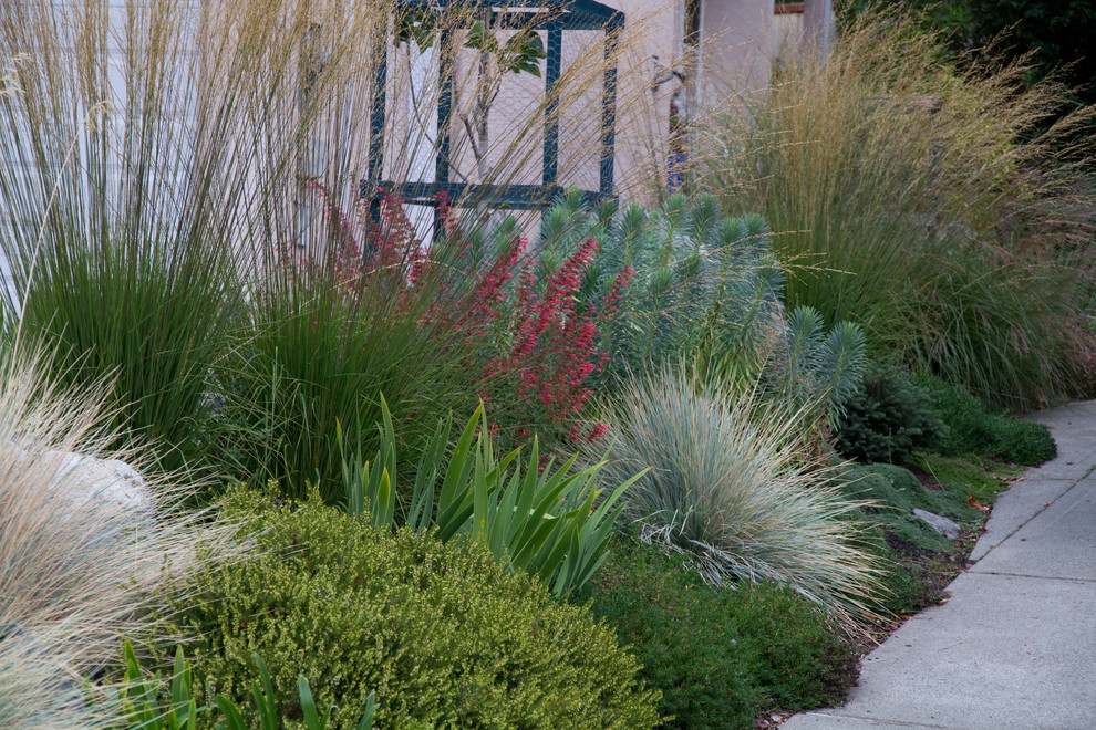 На фото: солнечный, летний засухоустойчивый сад среднего размера на переднем дворе в современном стиле с хорошей освещенностью и покрытием из каменной брусчатки