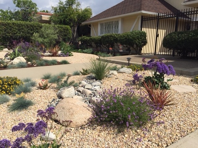 ロサンゼルスにある高級な春の、広いミッドセンチュリースタイルのおしゃれな前庭 (ゼリスケープ、日向、砂利舗装) の写真
