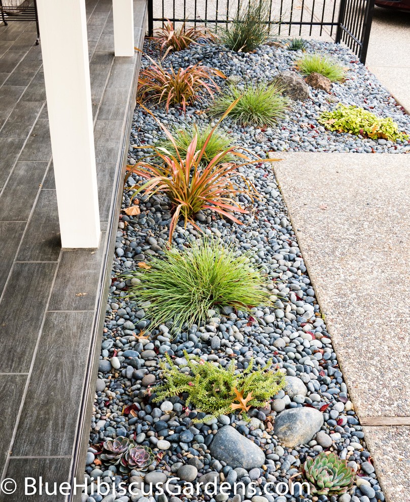 Inspiration for a medium sized contemporary front xeriscape partial sun garden with a garden path, decorative stones and a metal fence.
