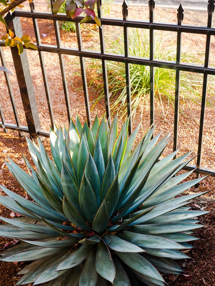Immagine di un giardino stile americano esposto in pieno sole davanti casa con pacciame e recinzione in metallo