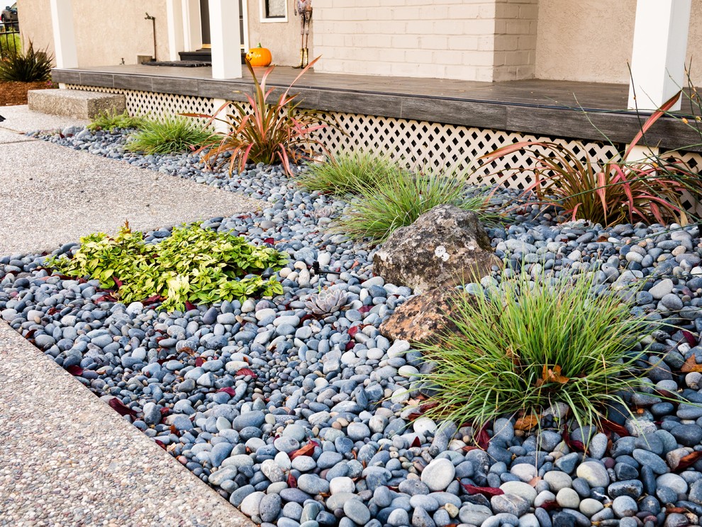 Пример оригинального дизайна: засухоустойчивый сад на переднем дворе в стиле фьюжн с садовой дорожкой или калиткой и покрытием из гальки