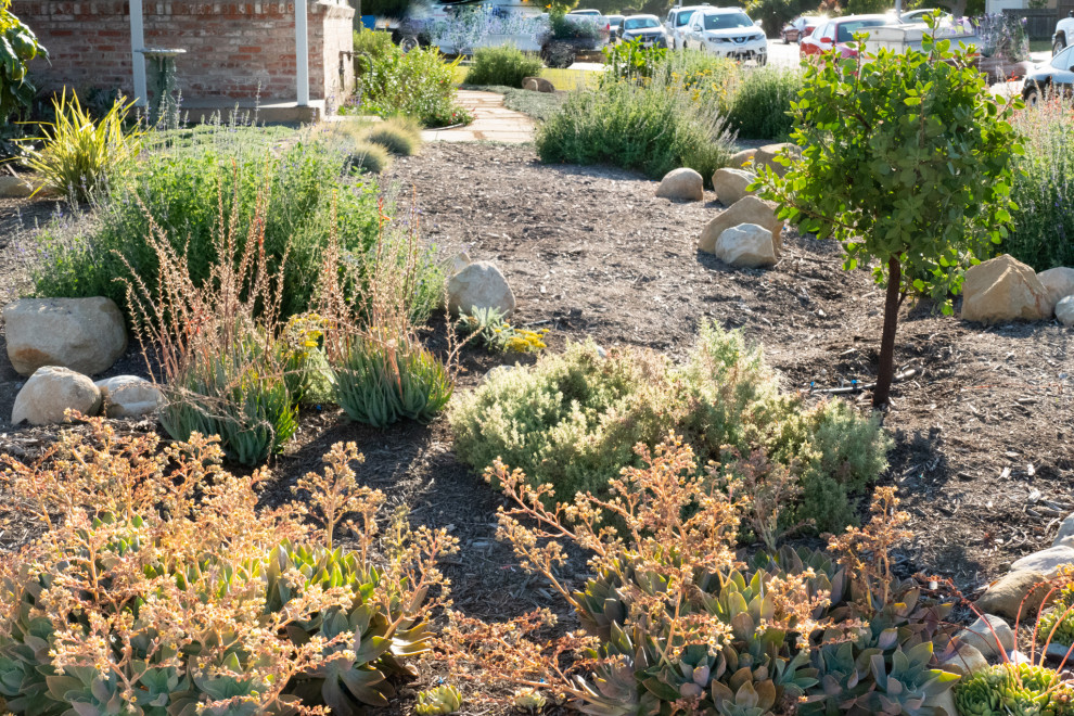 Foto di un giardino xeriscape minimalista esposto in pieno sole di medie dimensioni e davanti casa con pavimentazioni in pietra naturale