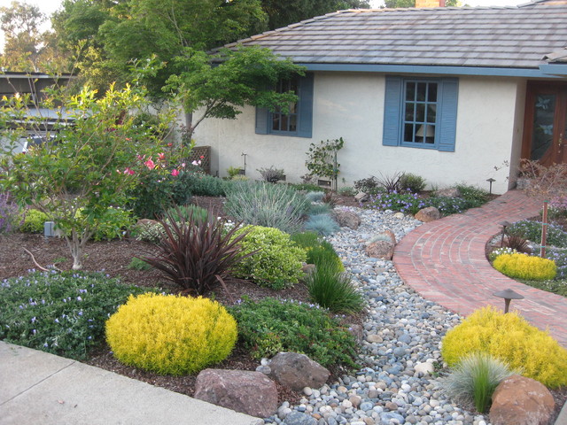 Low-Water Perennial Front Yard - Traditional - Garden - San Francisco ...