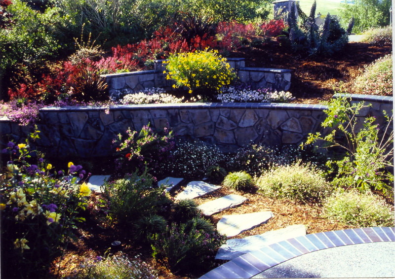 This is an example of a mid-sized transitional drought-tolerant front yard stone garden path in San Francisco.