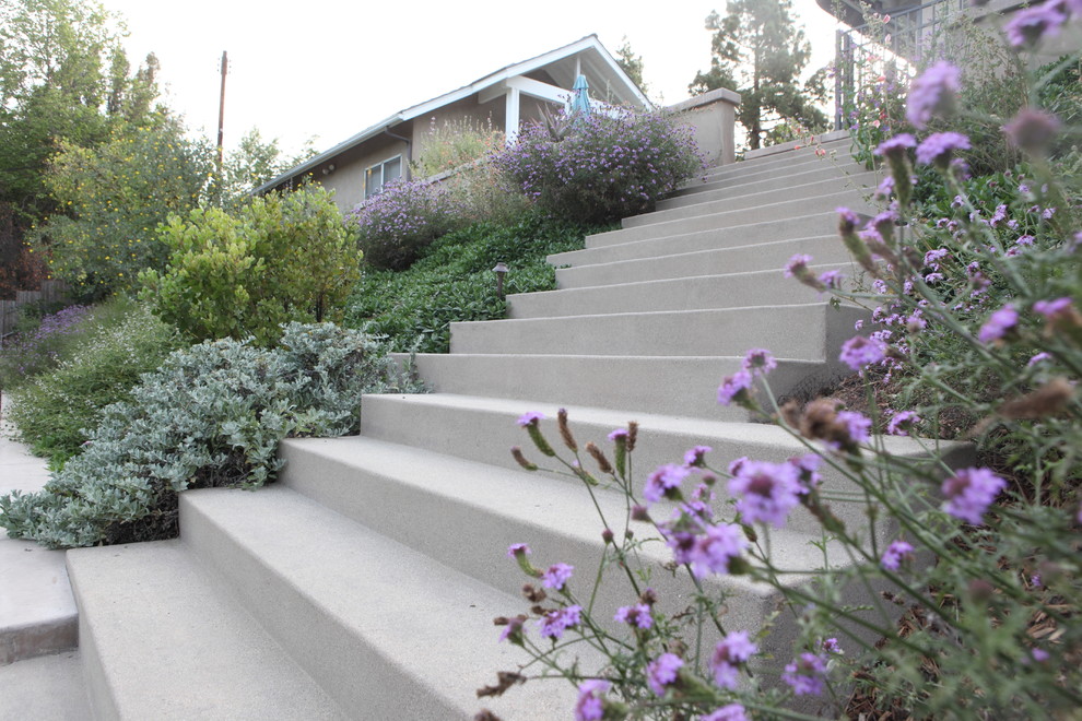 Design ideas for a modern drought-tolerant and partial sun backyard landscaping in Los Angeles for spring.