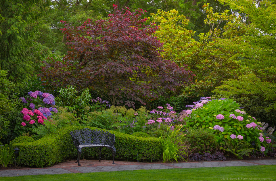Großer Klassischer Garten hinter dem Haus in Seattle