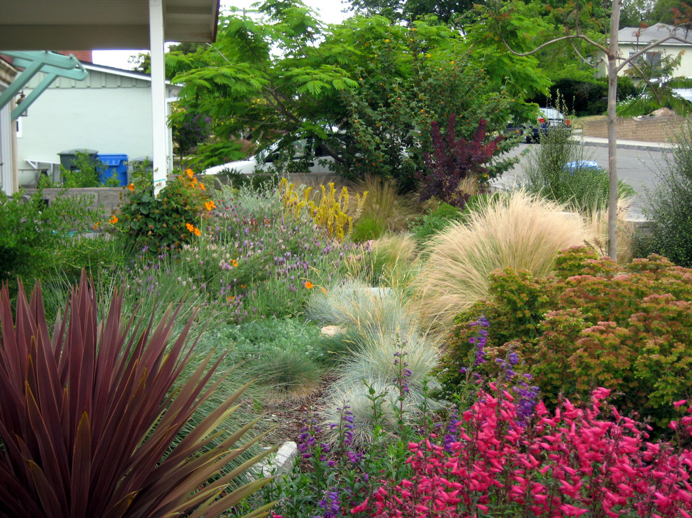 Mediterranean xeriscape garden in San Luis Obispo.
