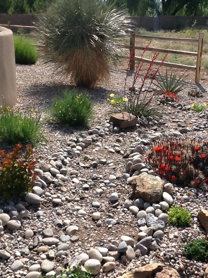 Photo of a rustic landscaping in Albuquerque.