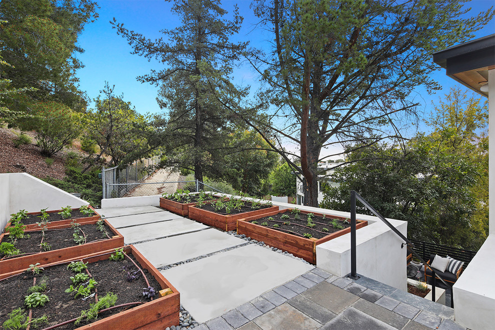 Стильный дизайн: большой солнечный участок и сад на заднем дворе в стиле модернизм с растениями в контейнерах, высокими грядками, хорошей освещенностью, мощением тротуарной плиткой и с металлическим забором - последний тренд