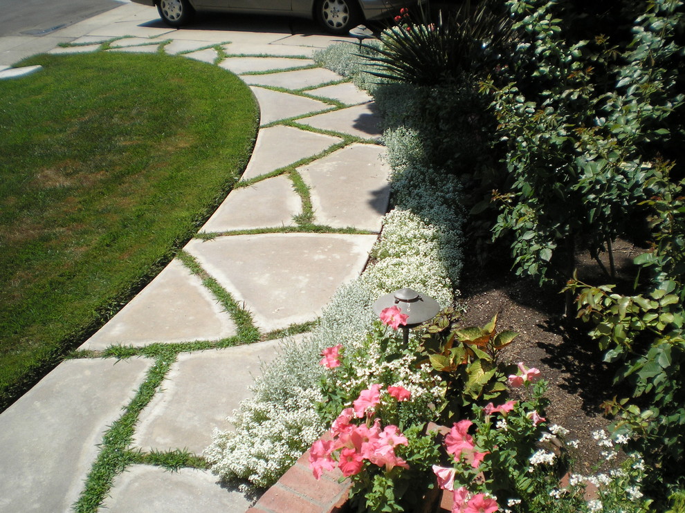 Photo of a mid-sized transitional drought-tolerant and full sun backyard concrete paver landscaping in San Diego.