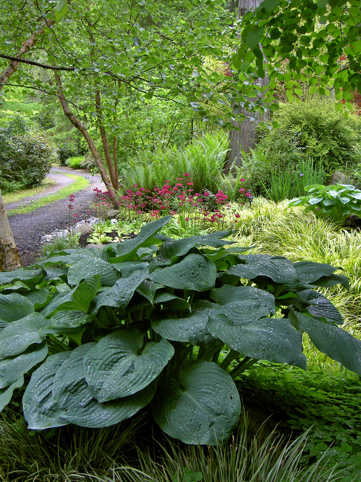 Inspiration for a contemporary shade landscaping in Seattle.