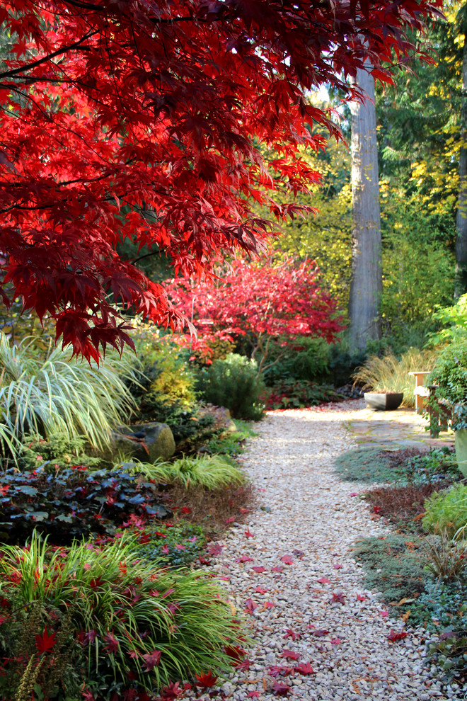Diseño de jardín actual en otoño en patio trasero con gravilla