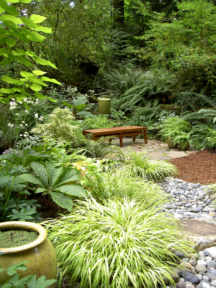 Photo of a contemporary shade backyard landscaping in Seattle.