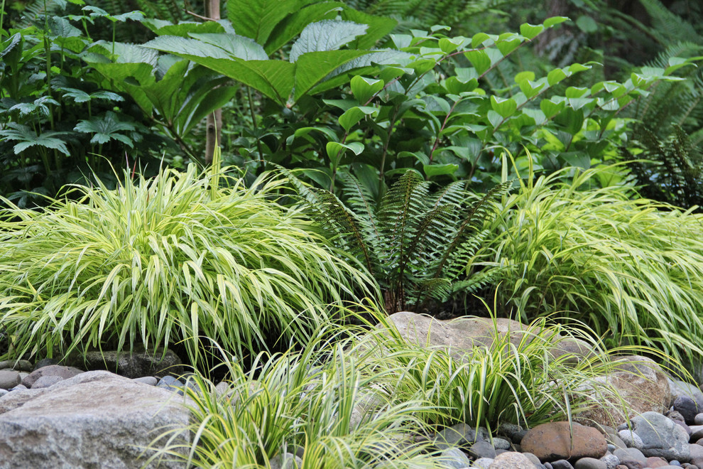 Aménagement d'un jardin contemporain.