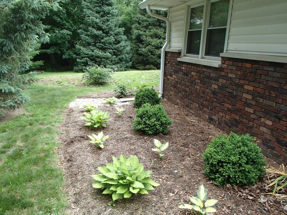 На фото: участок и сад среднего размера на переднем дворе в классическом стиле с растениями в контейнерах и мощением тротуарной плиткой с