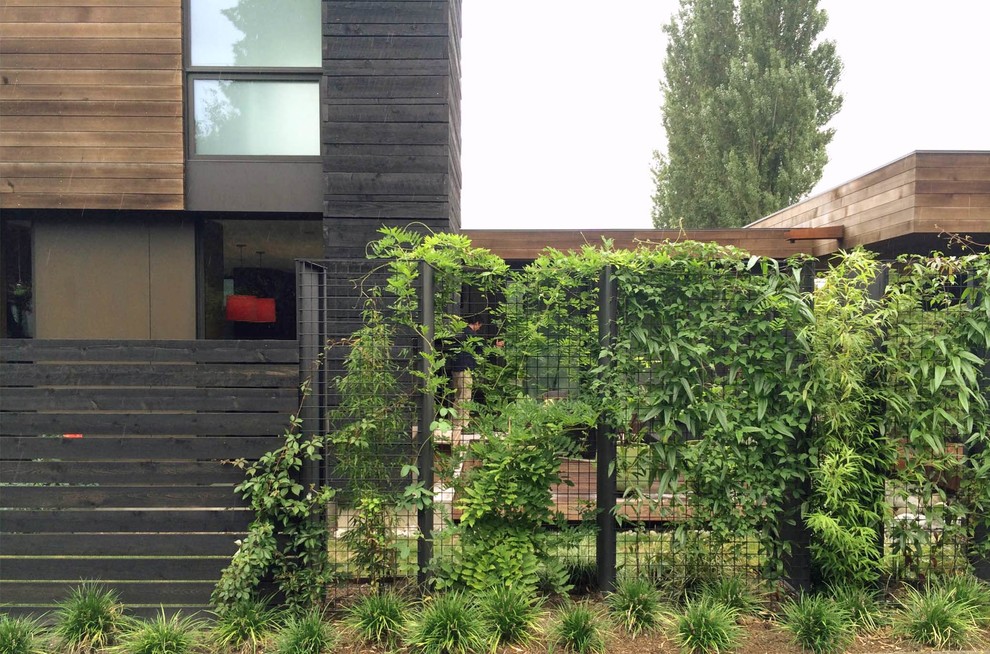 На фото: маленький солнечный участок и сад в стиле модернизм с хорошей освещенностью для на участке и в саду с