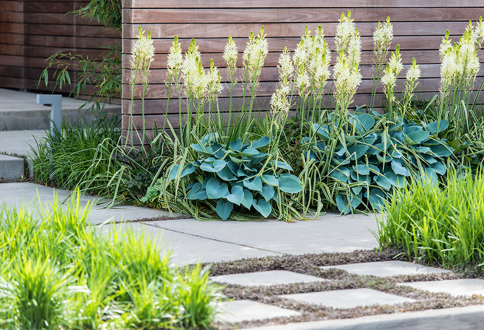 Foto di un giardino formale minimalista esposto a mezz'ombra di medie dimensioni e davanti casa