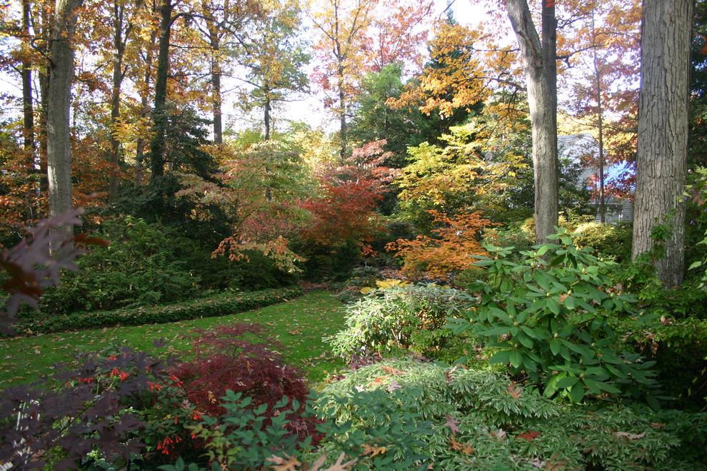 Idee per un giardino stile rurale in ombra di medie dimensioni e dietro casa in autunno