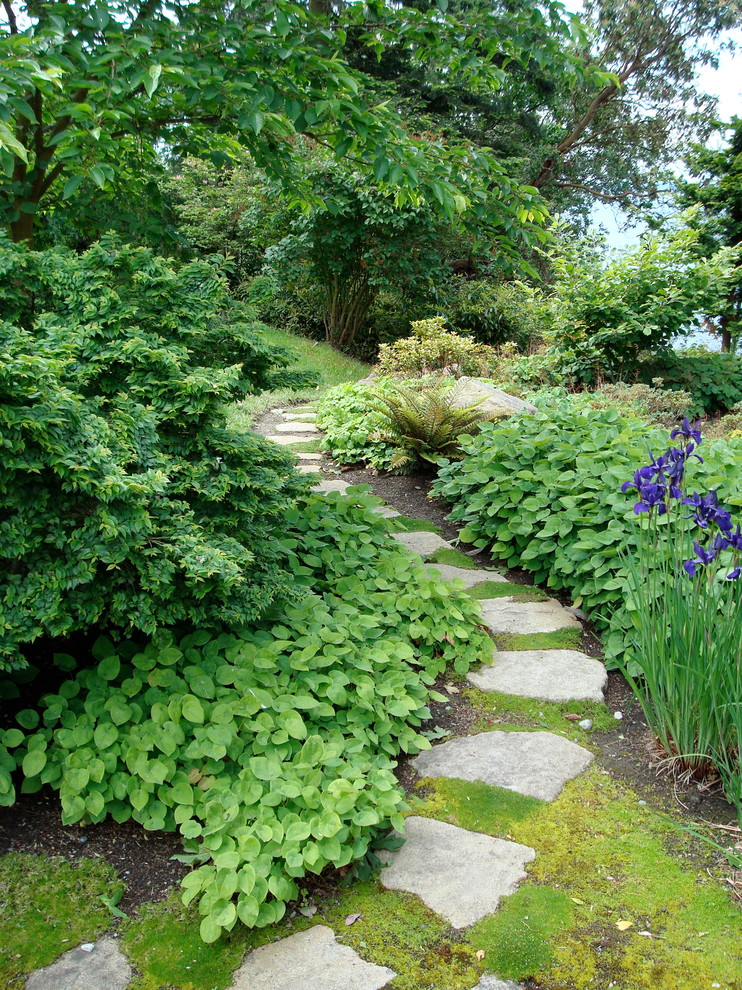 Immagine di un giardino design in ombra di medie dimensioni con un ingresso o sentiero, un pendio, una collina o una riva e pavimentazioni in pietra naturale