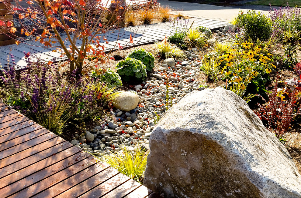Kleiner Moderner Garten im Herbst mit direkter Sonneneinstrahlung und Dielen in Seattle
