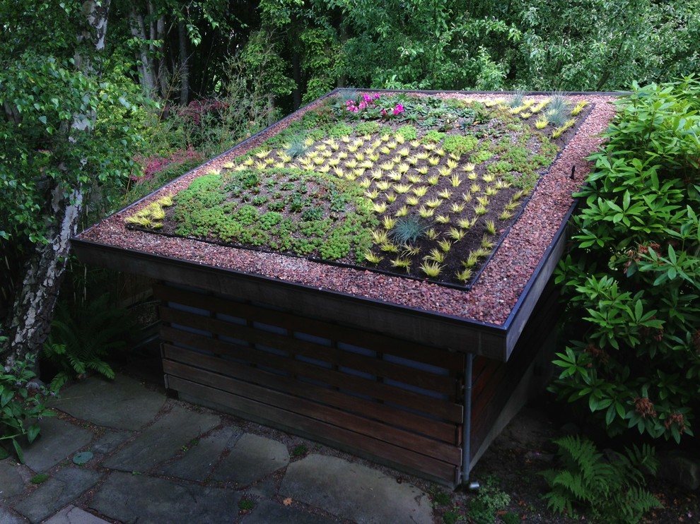Inspiration for a bohemian garden in Seattle.