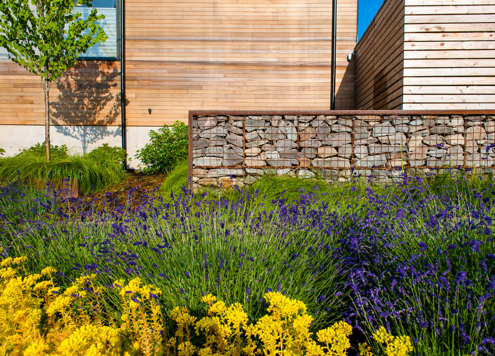 Mittelgroßer Moderner Garten mit direkter Sonneneinstrahlung und Betonboden in Seattle